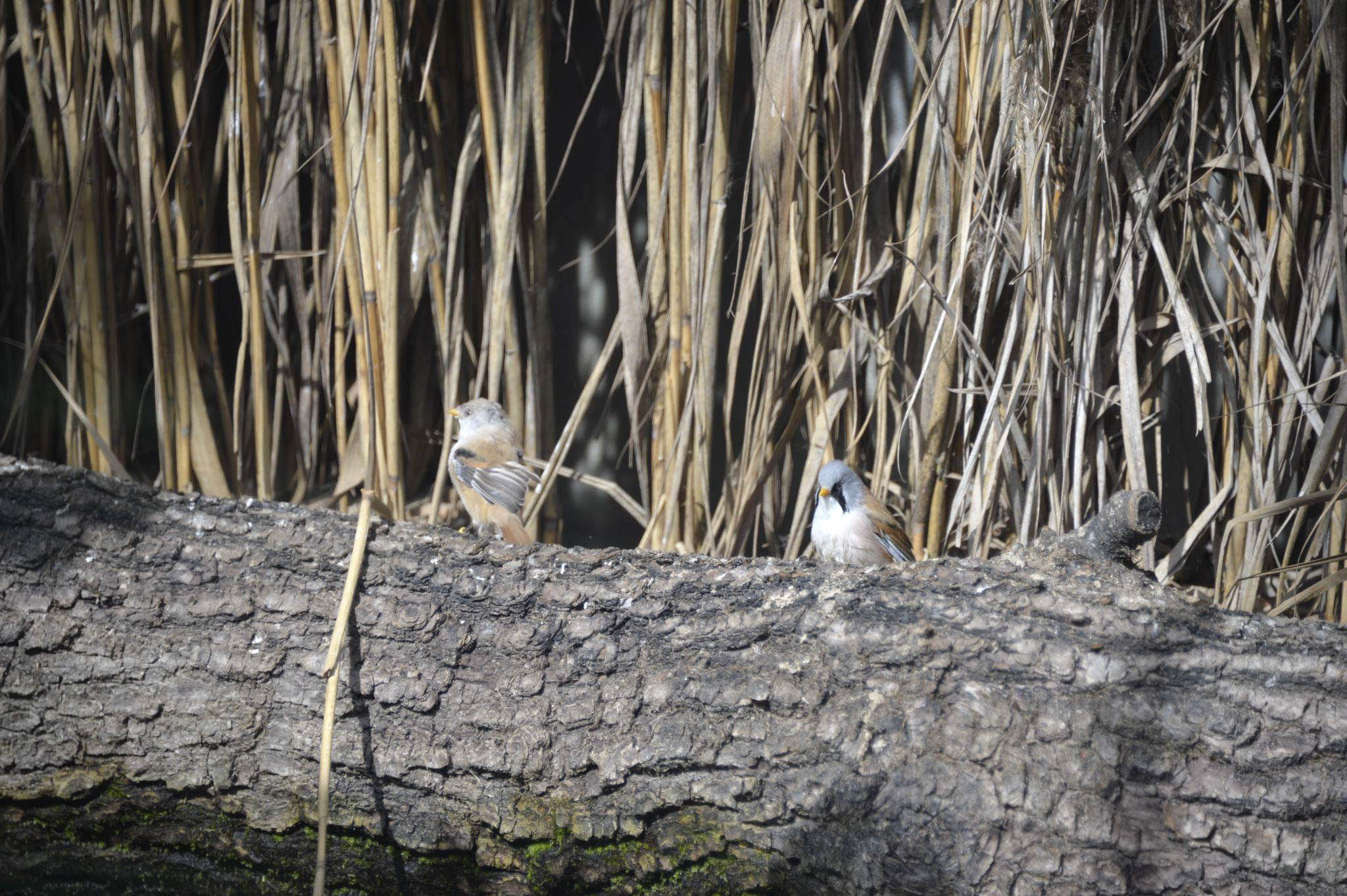Tierpark Kreuzlingen